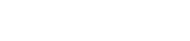 SINSSLOT